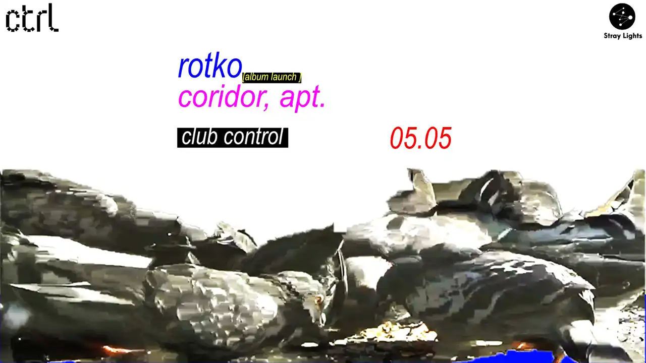 afis Stray Lights Showcase Rotko & Coridor, Apt.