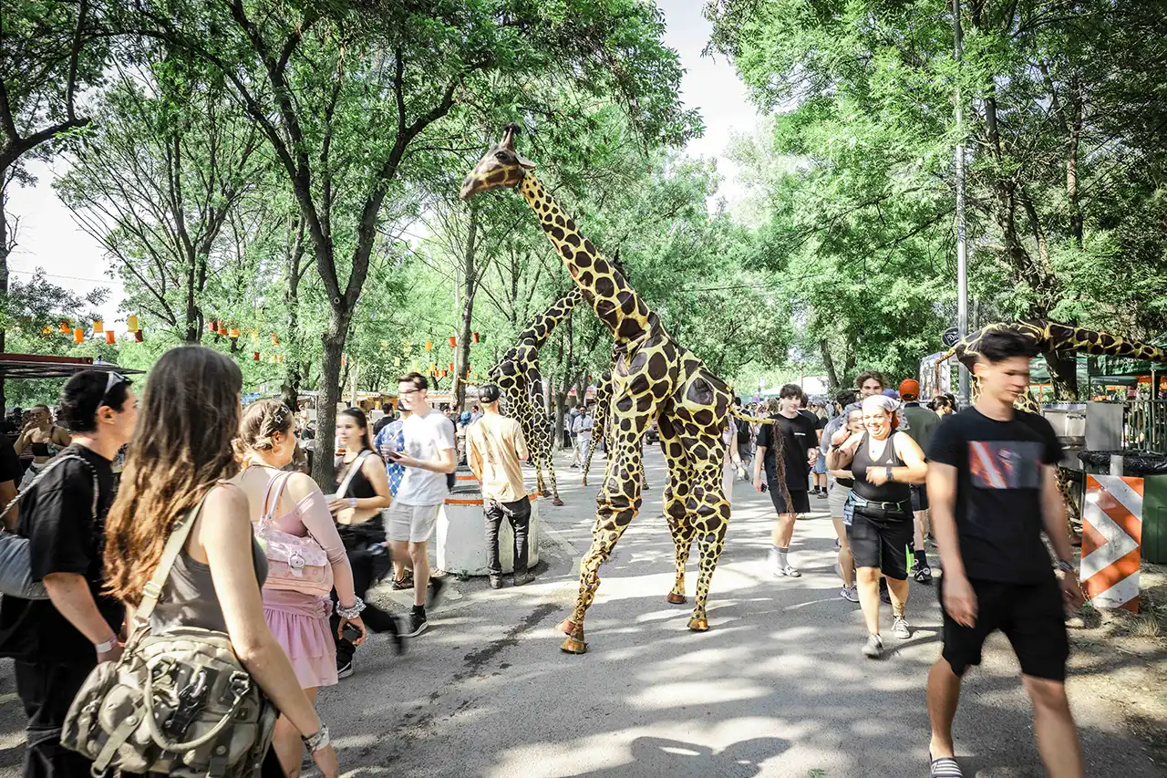 Poza Sziget 2026: program complet, headlineri și tot ce trebuie să știi despre unul dintre cele mai mari festivaluri de muzică din Europa