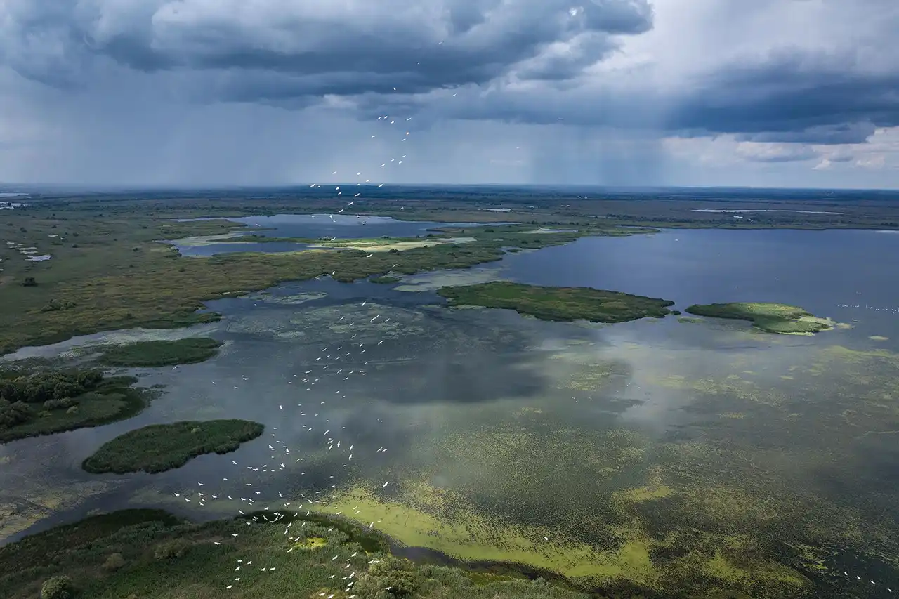 Imagine din documentarul &bdquo;Delta Sălbatică&rdquo;