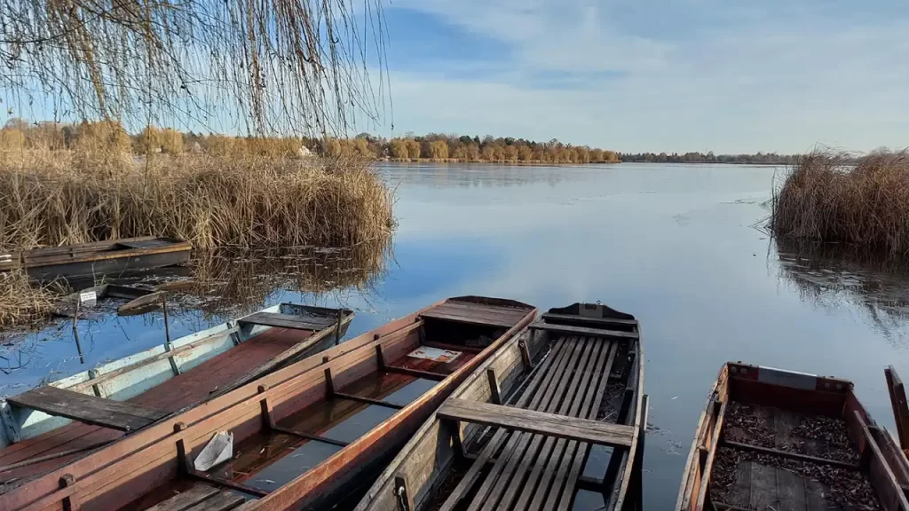 Cum să organizezi o vacanță autentică în Delta Dunării la început de vară