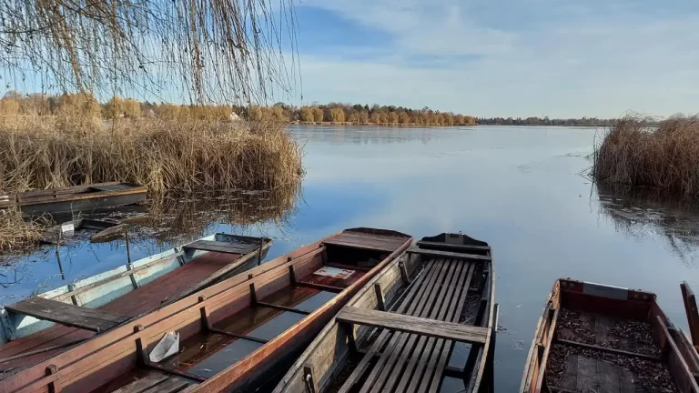 Cum să organizezi o vacanță autentică în Delta Dunării la început de vară