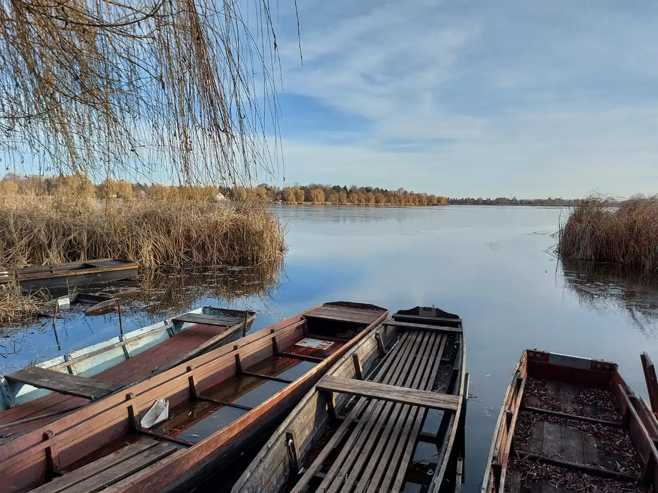 Cum să organizezi o vacanță autentică în Delta Dunării la început de vară