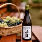 Locuri de vizitat | Gramofon Wine – vin, artă și muzică în inima podgoriei Dealu Mare