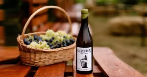 Locuri de vizitat | Gramofon Wine – vin, artă și muzică în inima podgoriei Dealu Mare