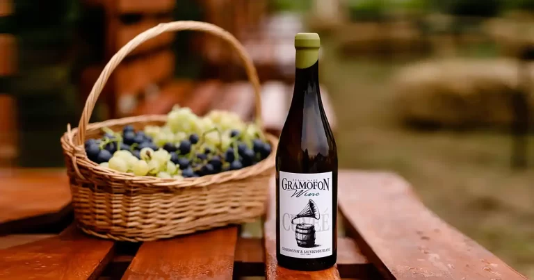 Locuri de vizitat | Gramofon Wine – vin, artă și muzică în inima podgoriei Dealu Mare