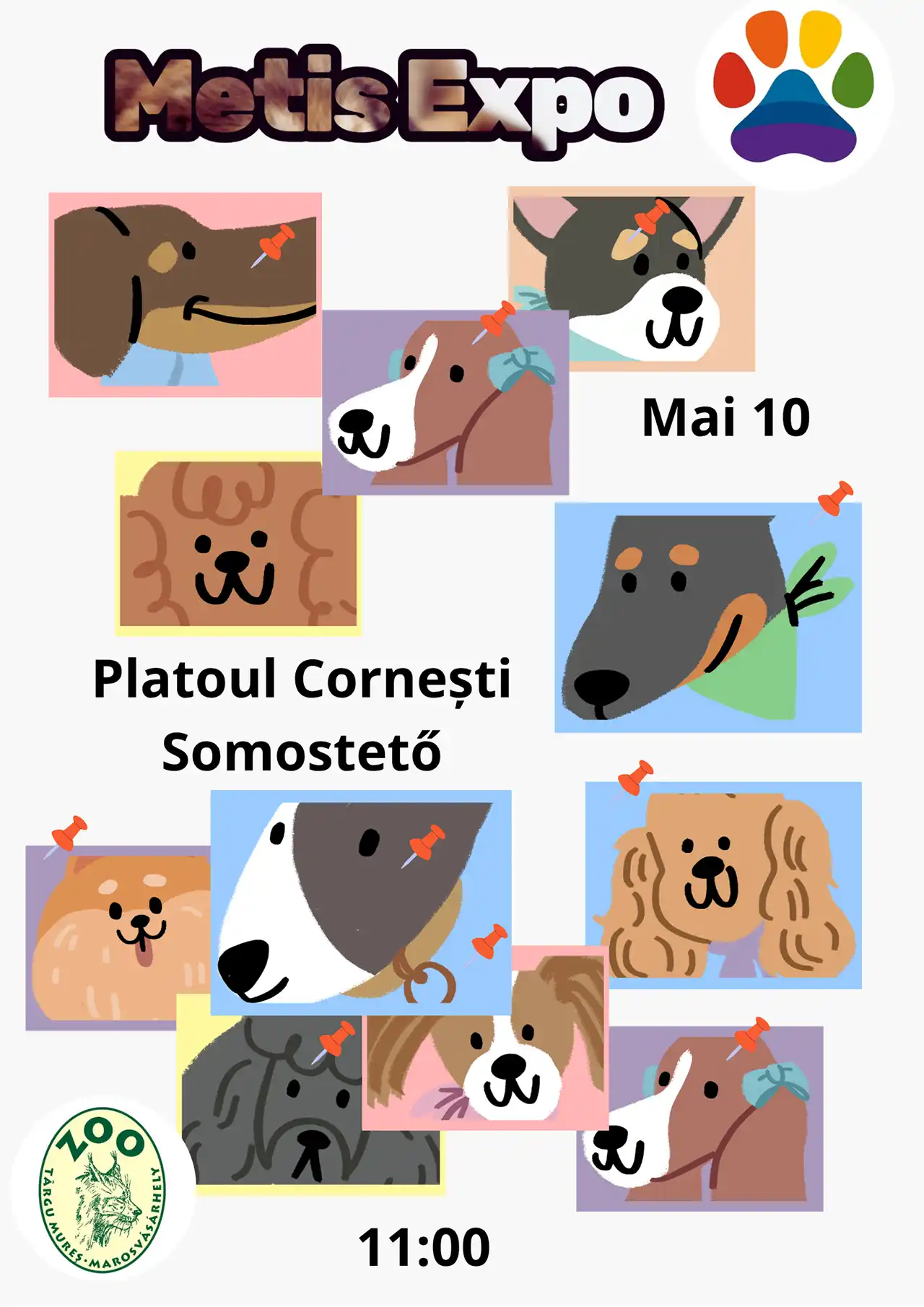 Frumusețea nu are nevoie de pedigree: MetișExpo la Platoul Corenești