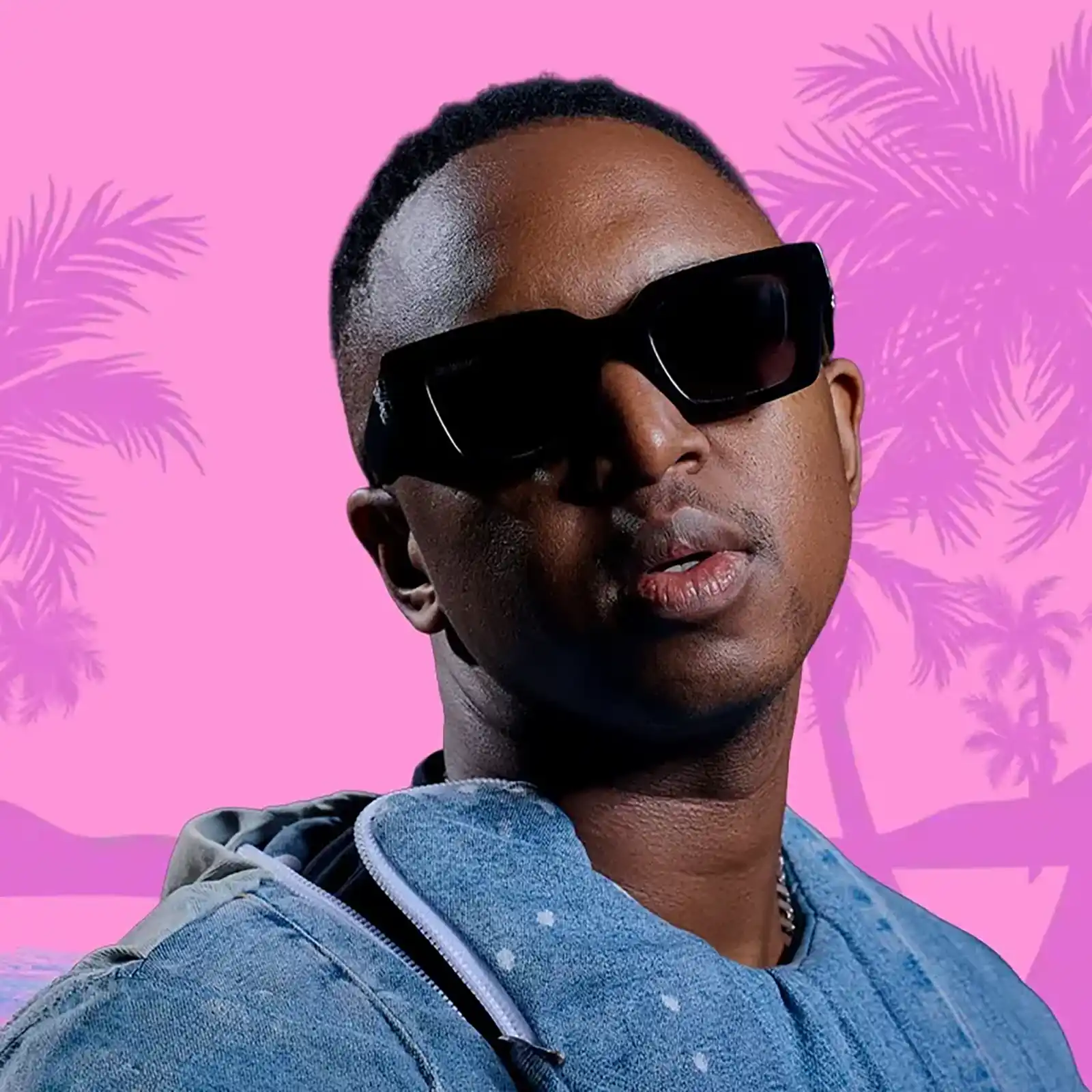 Poza shimza