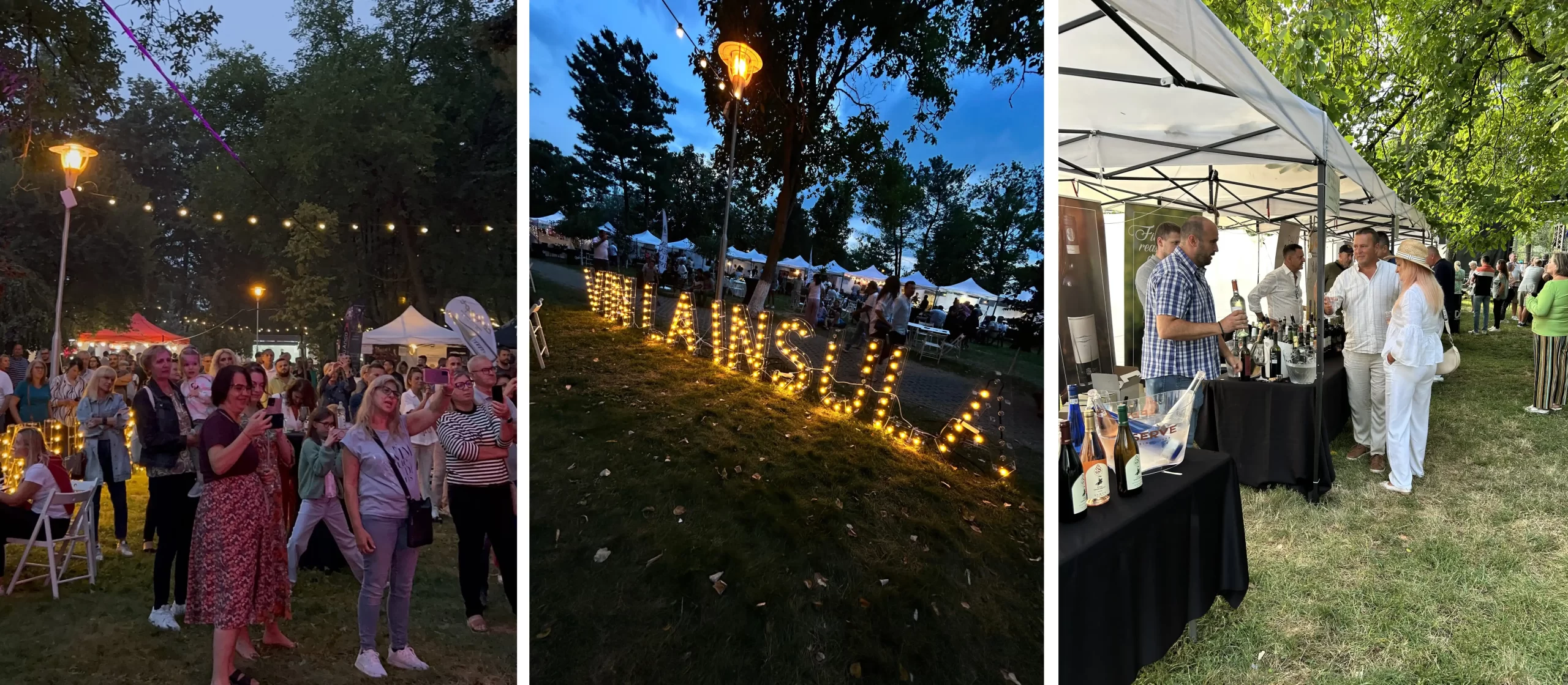 Festivalul de vinuri - Vin la Insulă 2026 @ Insula de Agrement, Bacău