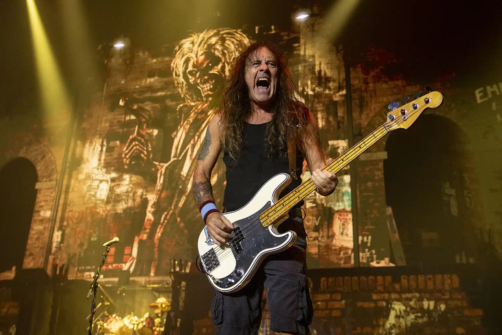 Program și regulament de acces IRON MAIDEN, 28 mai 2026