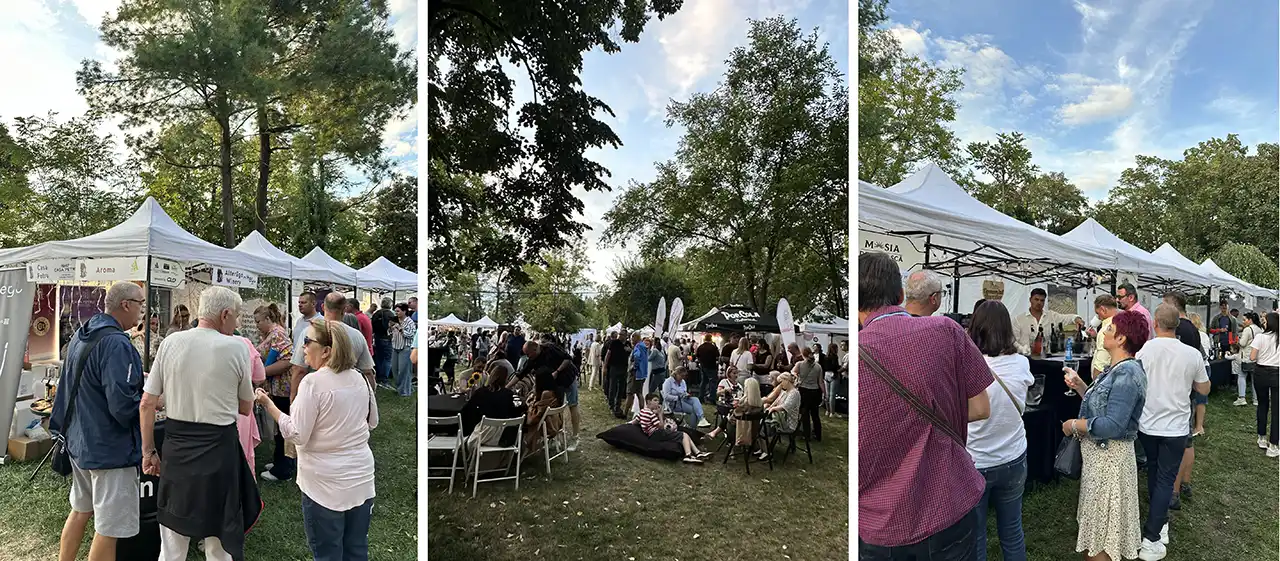 Festivalul de vinuri - Vin la Insulă 2026 @ Insula de Agrement, Bacău