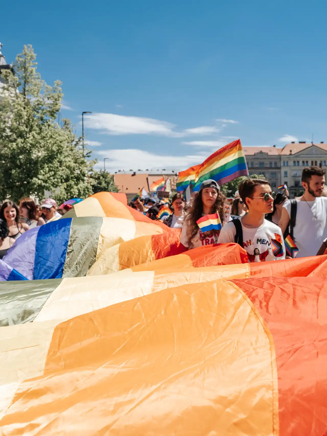 Poză de la marș