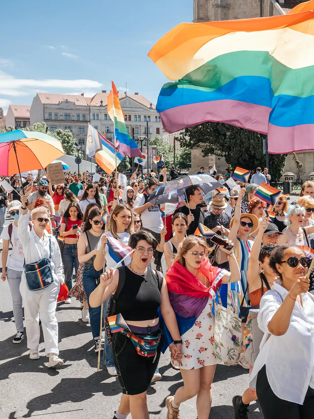 Poză de la marș