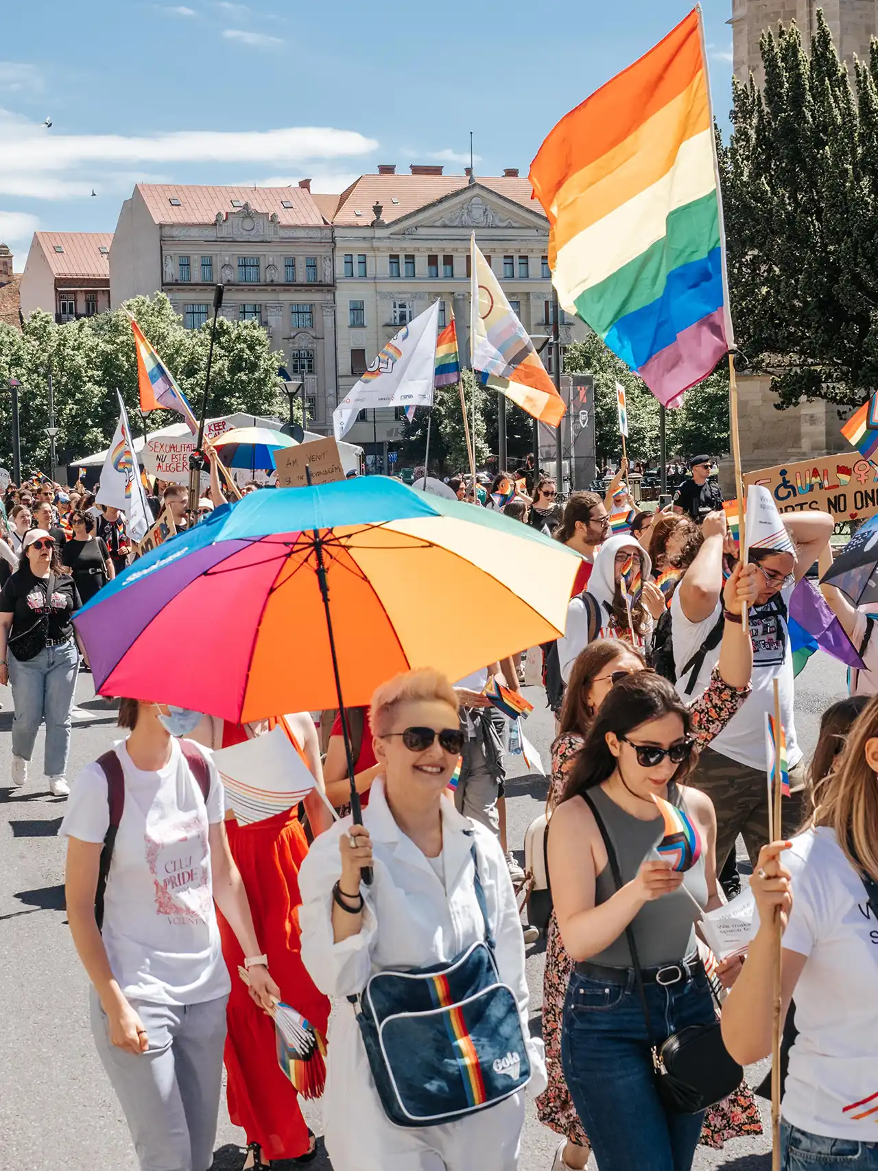 Poză de la marș