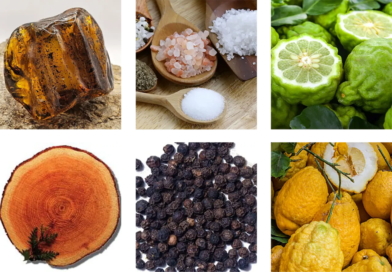 NOTE parfum embraser by jus Povestea interioară: ambră / sare de mare / bergamotă / cedru / laudanum / piper negru / chitra (citric de la care se foloseşte coaja) / IsoE Super (aromă ce dă persistenţă parfumurilor) / ambroxan, ca substitut pentru ambra cenuşie.