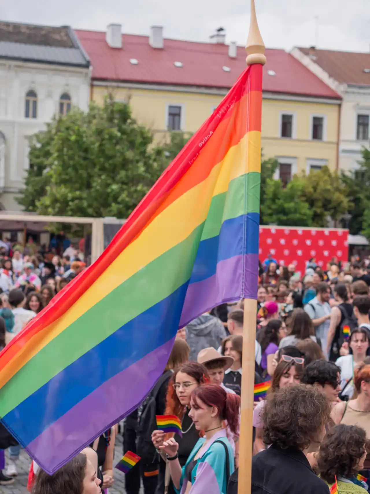 Poză de la marș