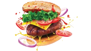burgeri din jurul lumii