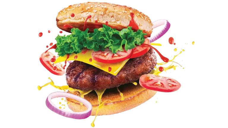 burgeri din jurul lumii