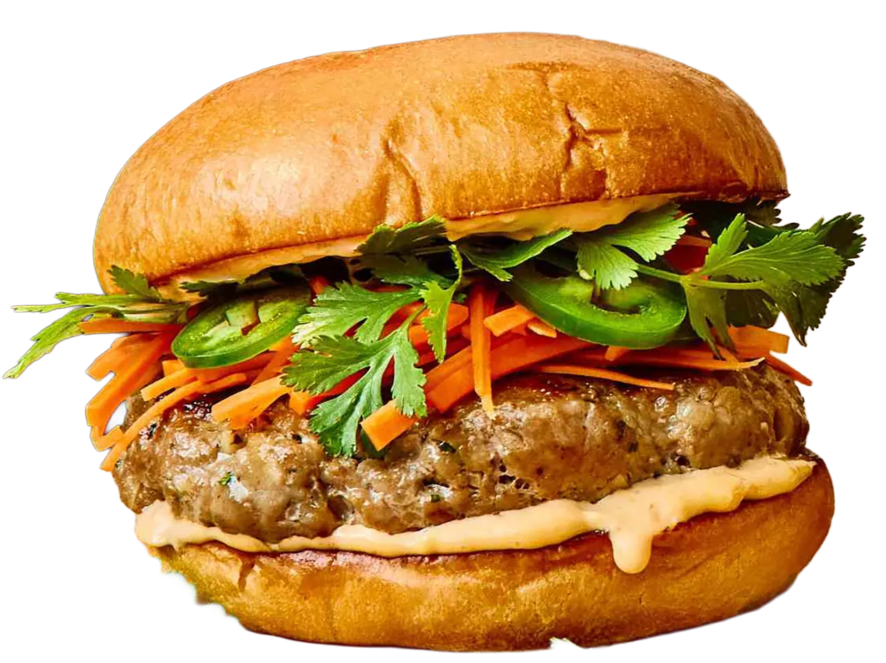 burgeri din jurul lumii banh mi burger