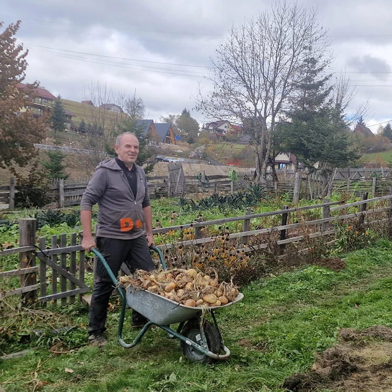 Ioan Micu proprietarul Fundata 13 &icirc;n grădina cu țelină și legume bio, Fundata Brașov