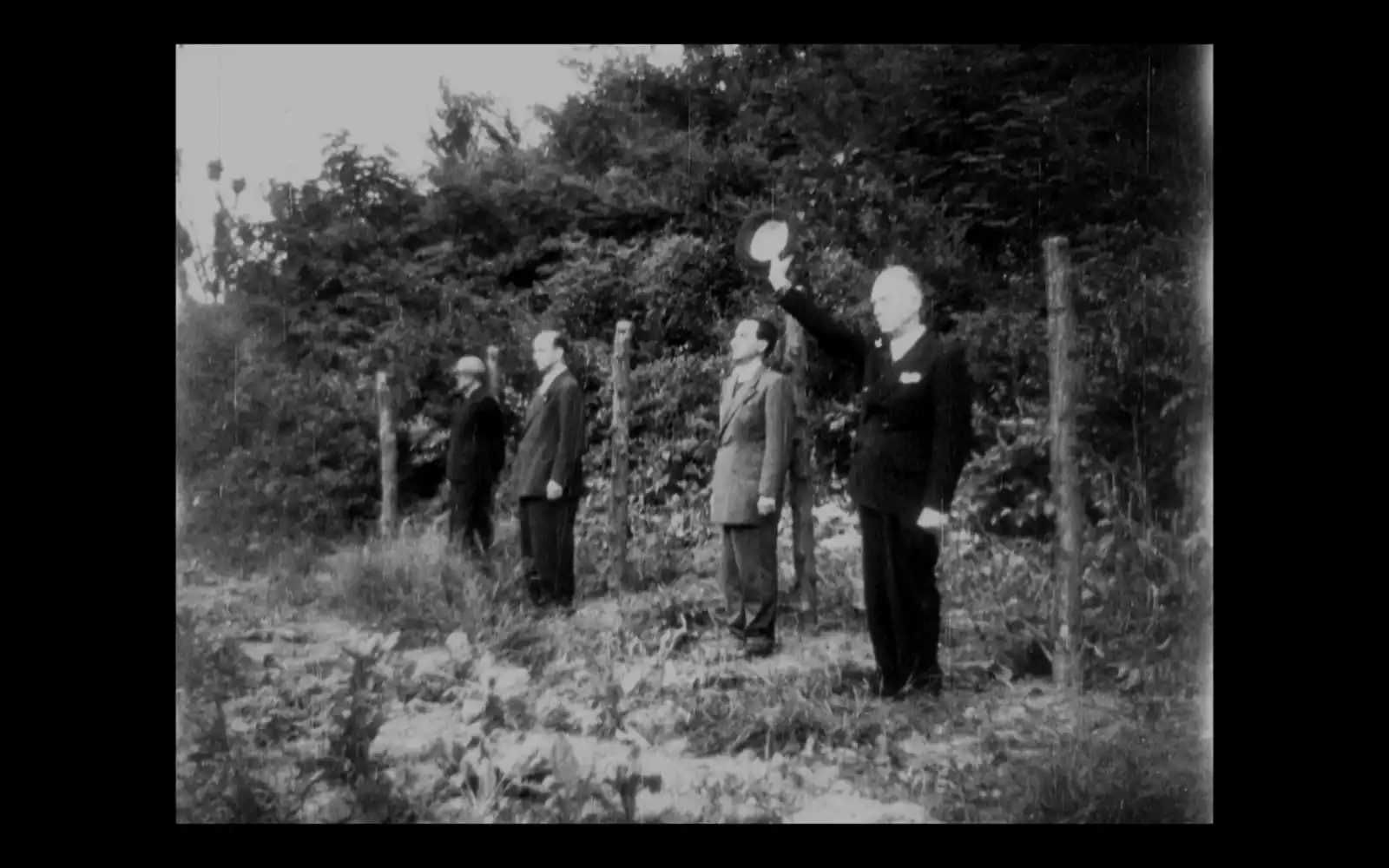 Cele Două Execuții - Radu Jude