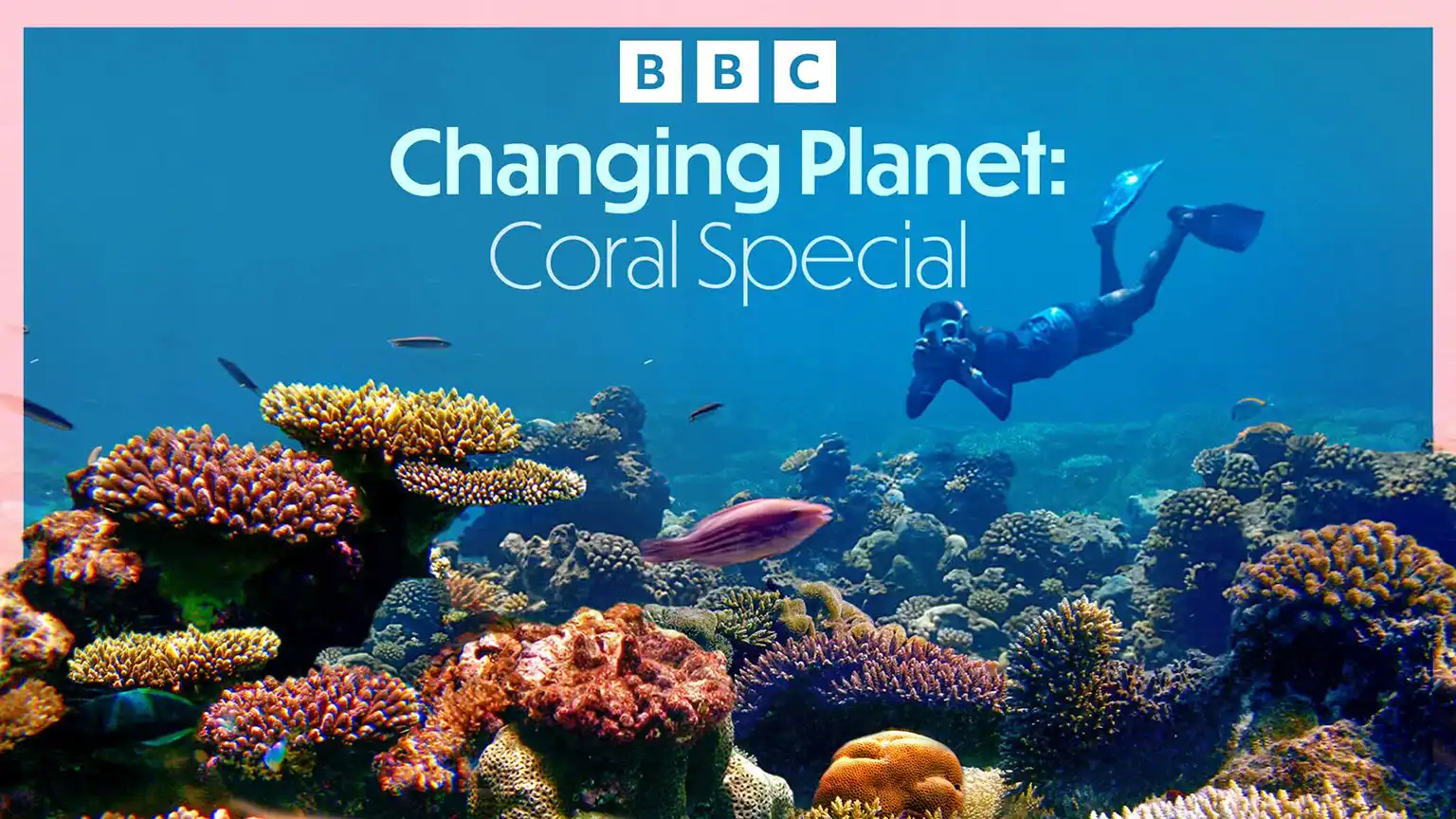 Povești despre curaj, natură și schimbare: BBC Earth explorează lumea dincolo de limitele convenționale