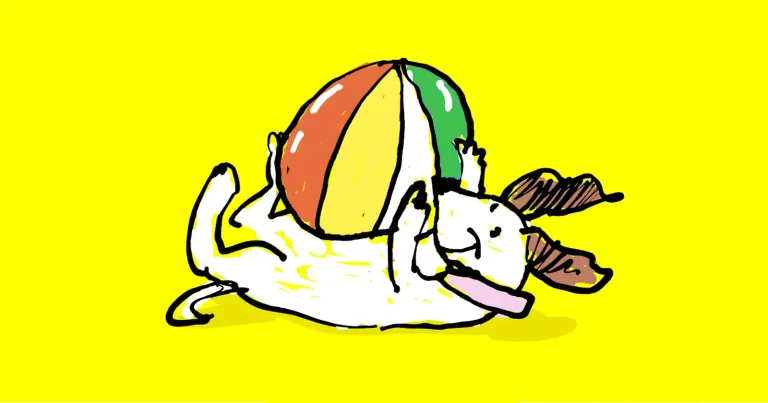 CineDoggo – o zi dedicată iubitorilor de câini și de film, pe 27 iunie, în București