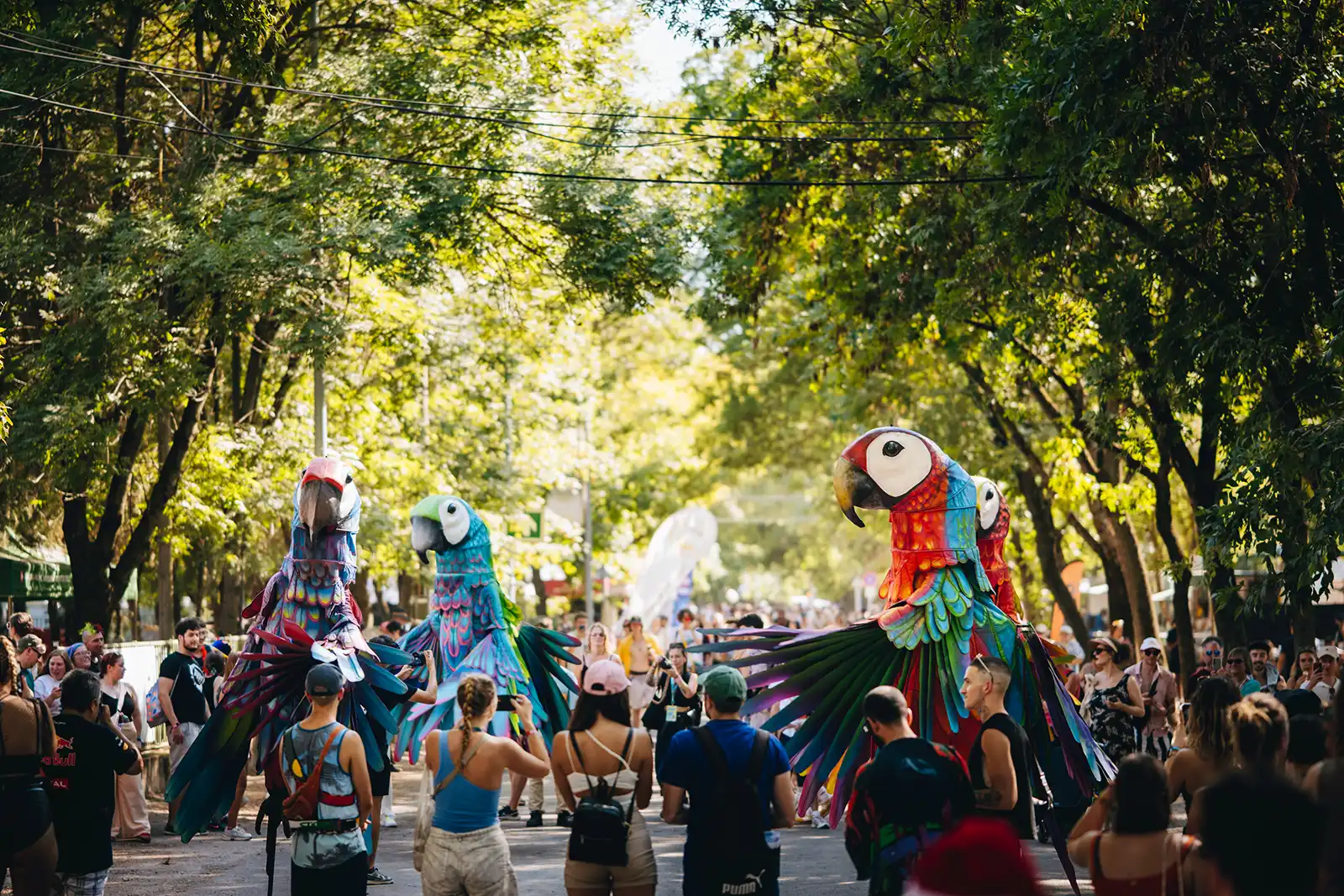 Sziget - Jardin Des Arts