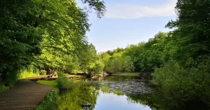 Cum arată pielea după trei zile în apa Mării Moarte a Transilvaniei?