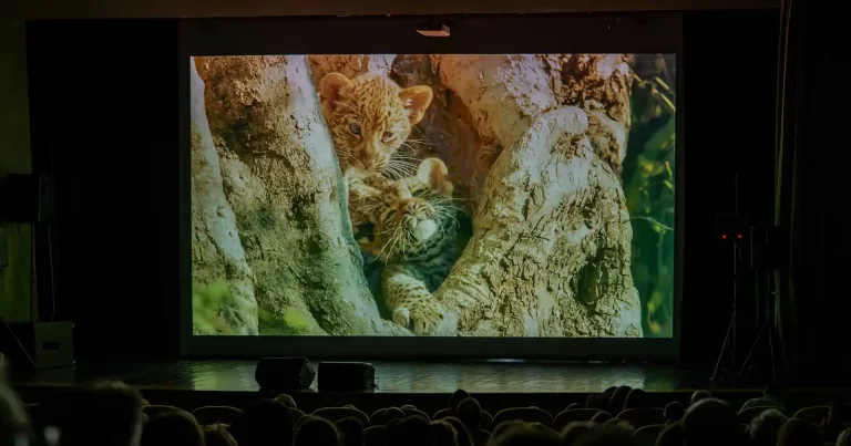 Întâlniri cu specialiști și exploratori ai lumii sălbatice, alături de cineaști renumiți, la LYNX festival