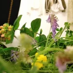 Târg de Sânziene la Muzeul Național al Țăranului Român