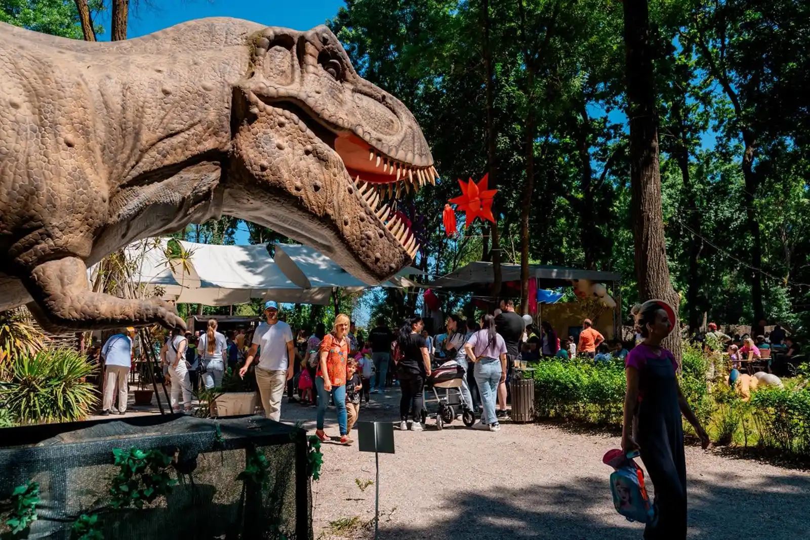 Jurasica Adventure Park din Neptun&nbsp;