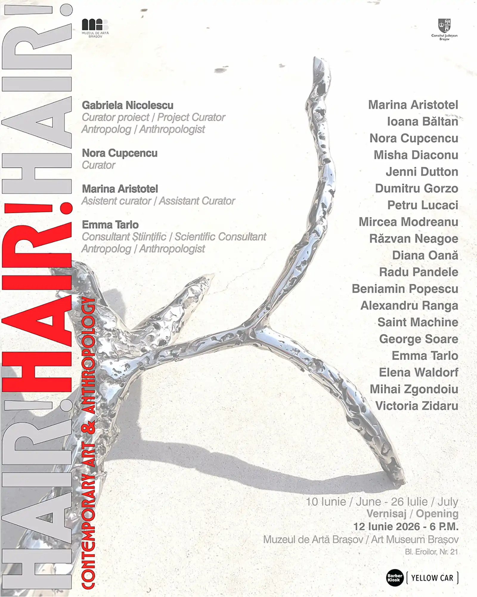 HAIR! HAIR! HAIR! Contemporary Art & Anthropology @ Muzeul de Artă Brașov