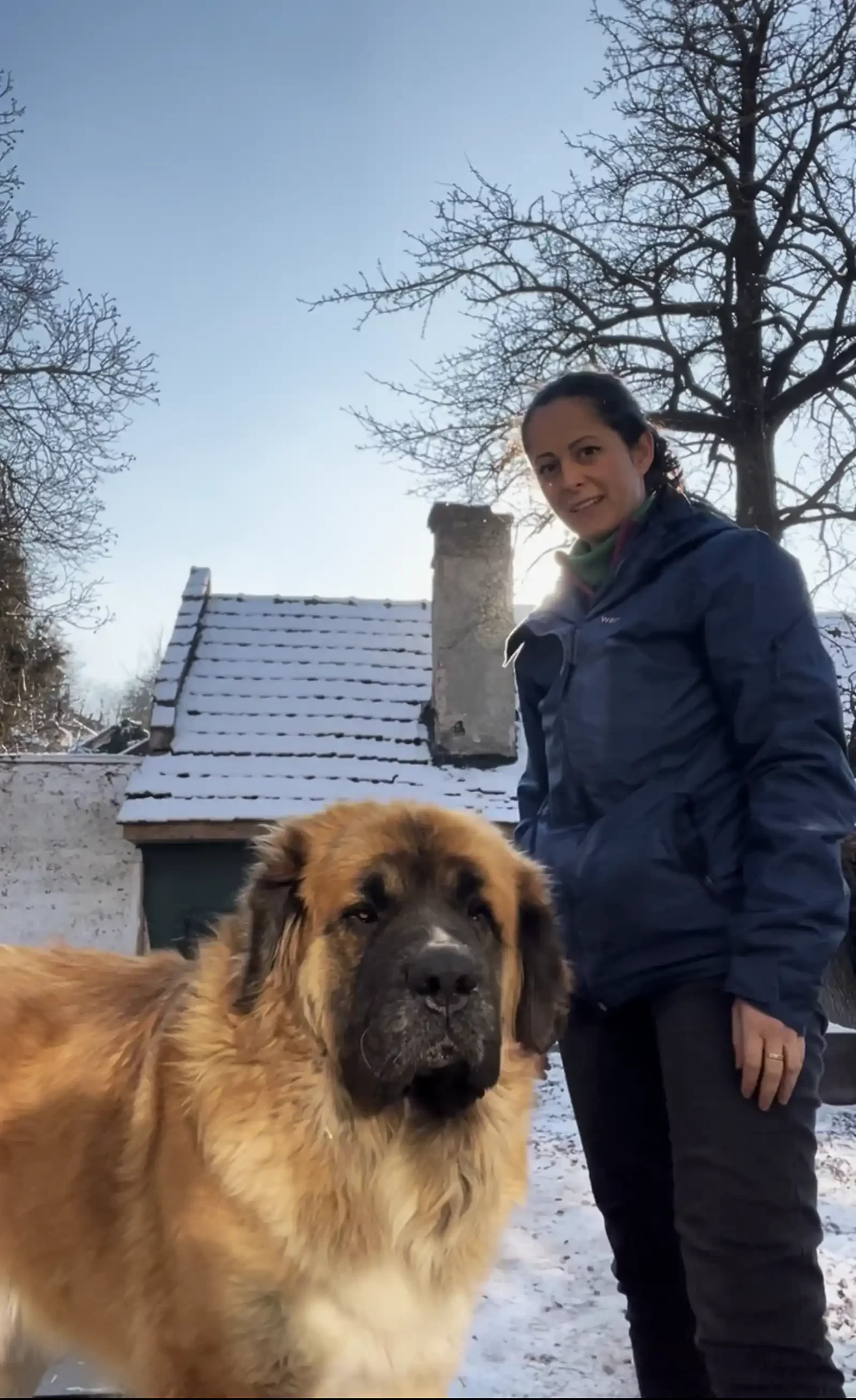 Brașov Heroes: Delia Botea, președintele Asociației Care for Dogs și ambasador al proiectului &bdquo;Prima casă, &icirc;nainte de acasă&rdquo;