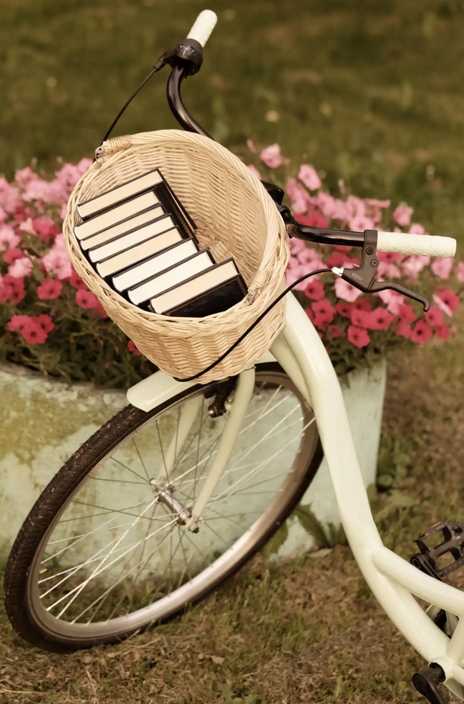 Concursul de fotografii BiblioBicicleta 2026 - Cu bicicleta şi cartea în cartierul meu