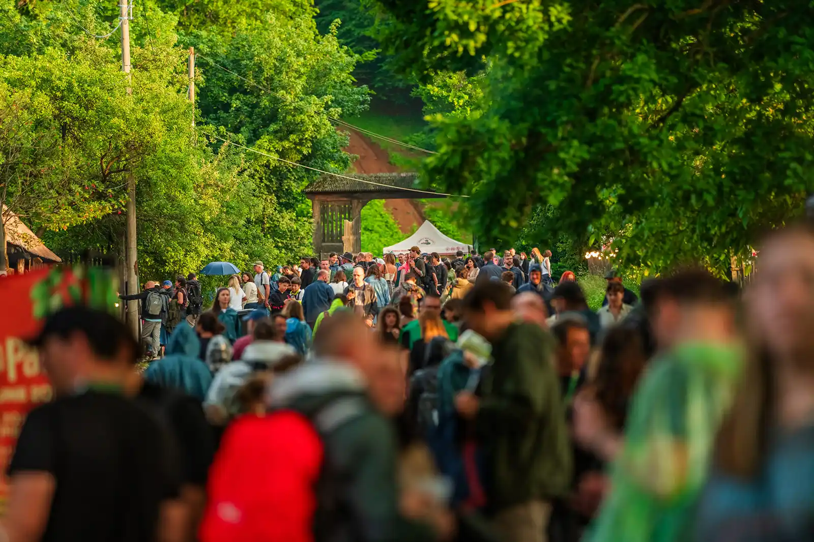 Jazz in the Park 2026: peste 20.000 de festivalieri, 3 zile de muzică bună și o poveste care merge mai departe la ediția aniversară cu numărul 15