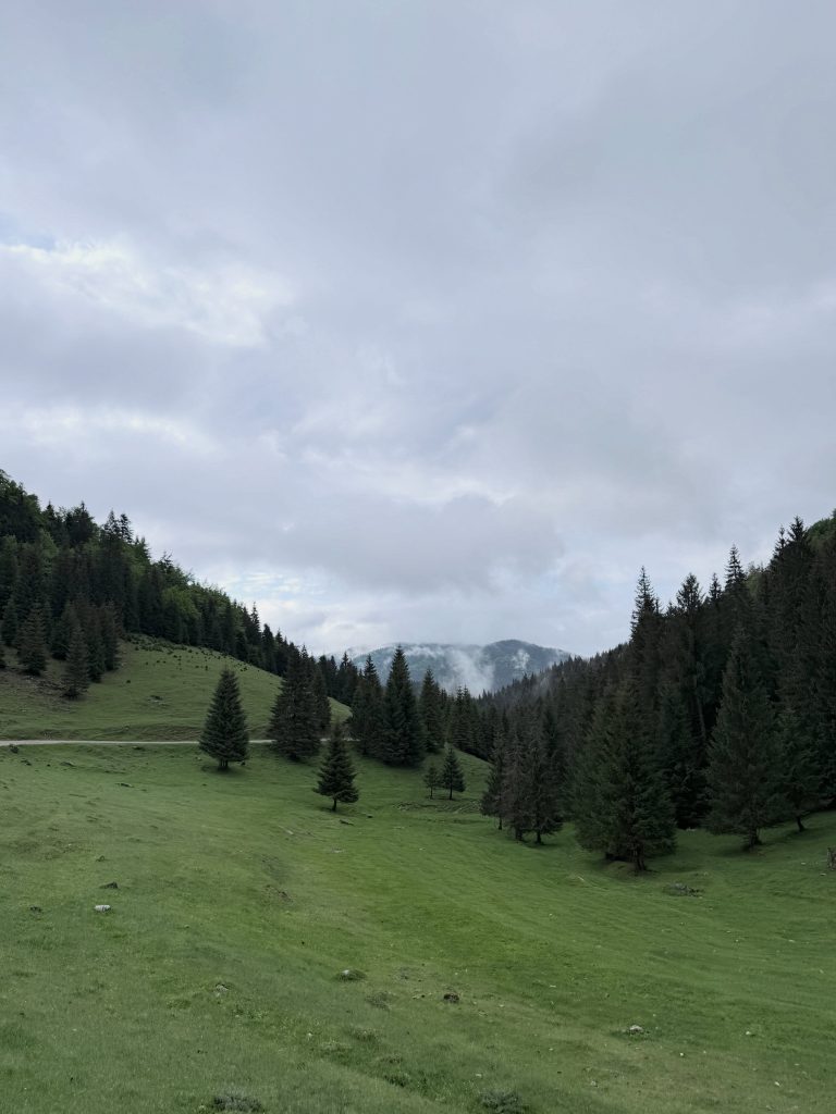 weekend în Bihor