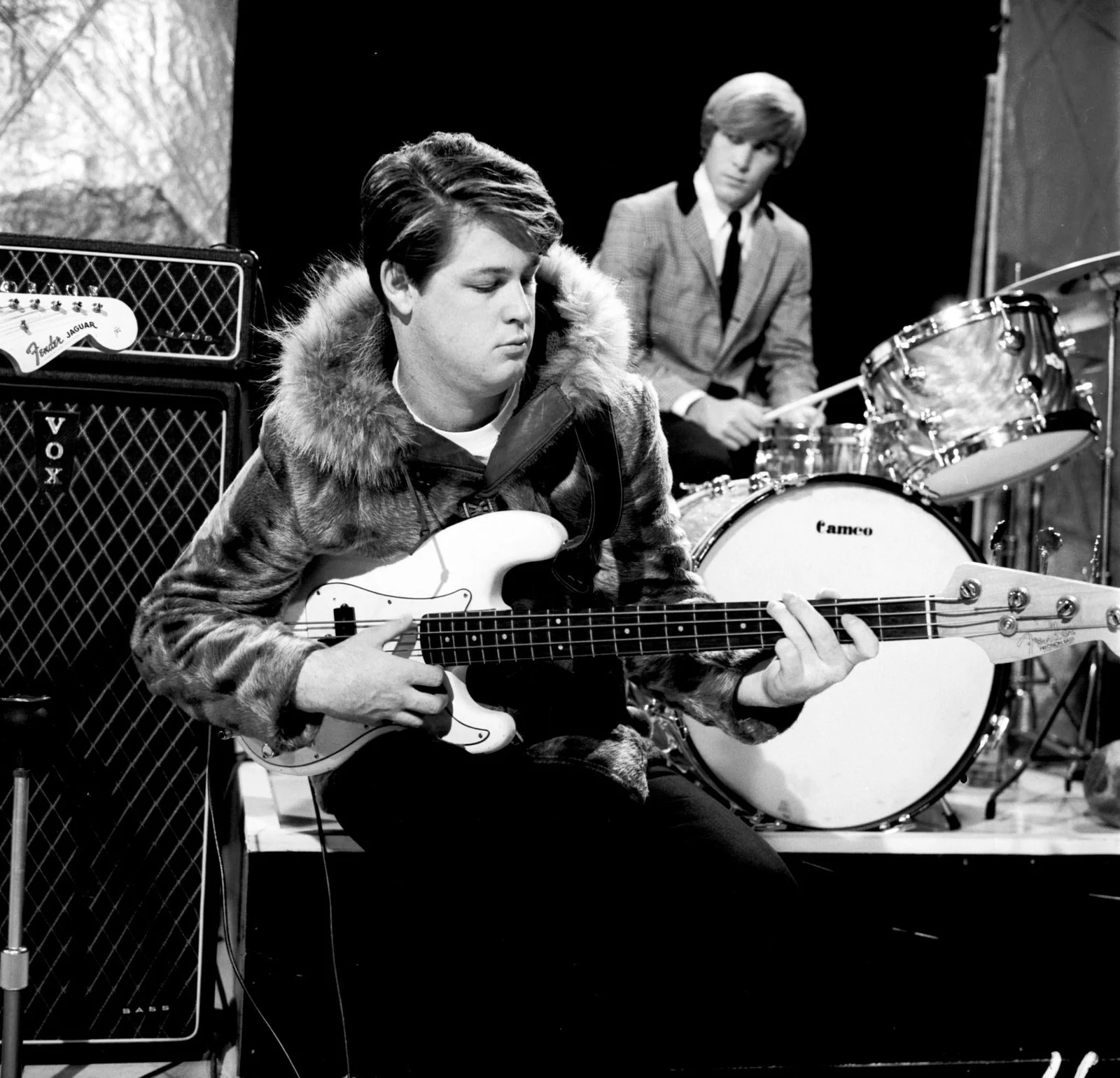 Brian Wilson muzică pop