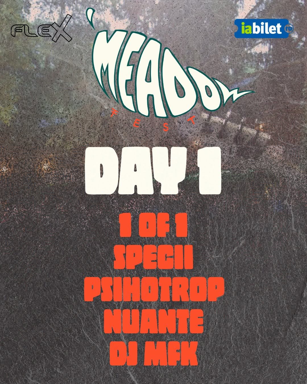 meadow fest 1