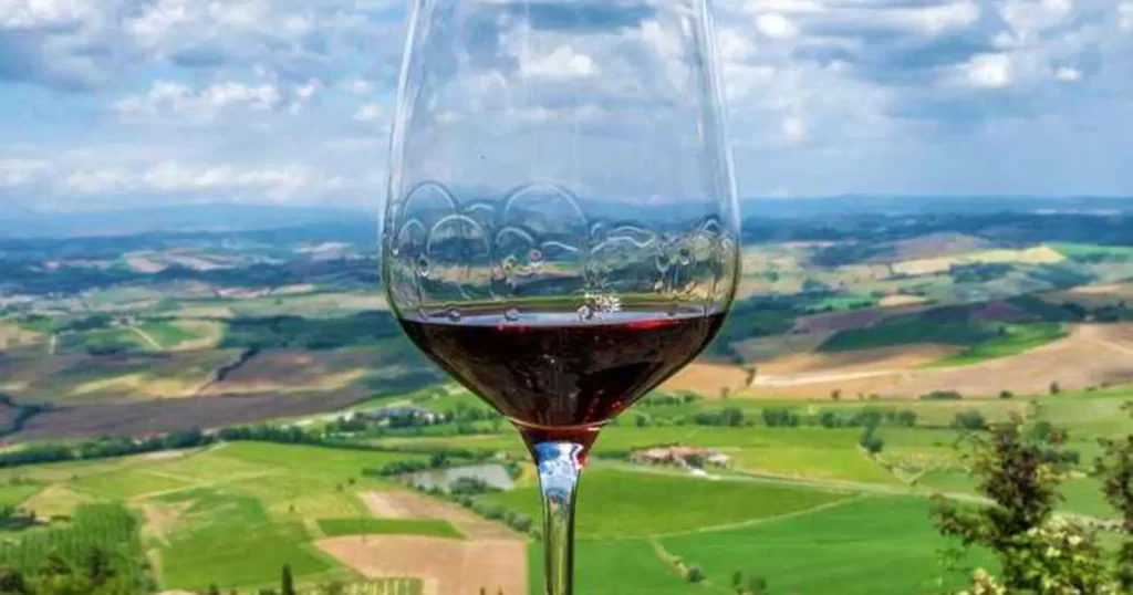 toscana - vacante de vin de stefan chiritescu