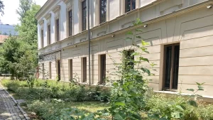 Emoții Climatice: cum trăim schimbările climatice în oraș? Un program care propune o nouă perspectivă asupra spațiilor verzi urbane, desfășurat în sezonul vară-toamnă la Casa Filipescu-Cesianu