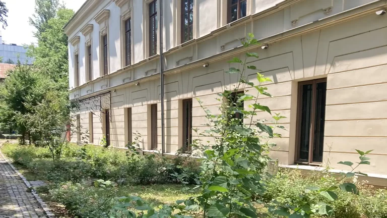 Emoții Climatice: cum trăim schimbările climatice în oraș? Un program care propune o nouă perspectivă asupra spațiilor verzi urbane, desfășurat în sezonul vară-toamnă la Casa Filipescu-Cesianu