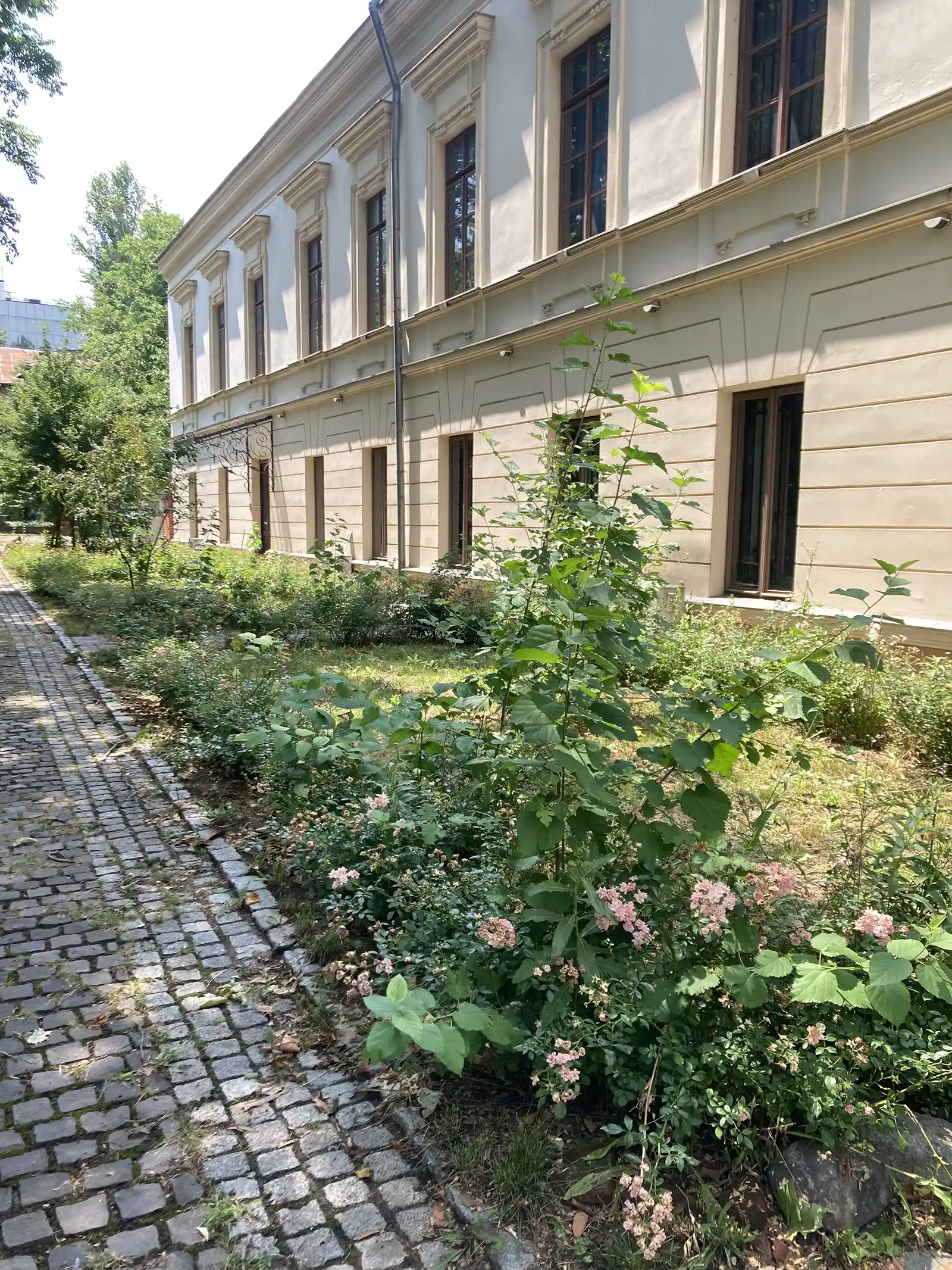 Emoții Climatice: cum trăim schimbările climatice în oraș? Un program care propune o nouă perspectivă asupra spațiilor verzi urbane, desfășurat în sezonul vară-toamnă la Casa Filipescu-Cesianu