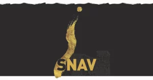 Salonul Național de Arte Vizuale 2026  (SNAV) organizat de Asociația Artiștilor Plastici din București își deschide porțile la Palatul Parlamentului!