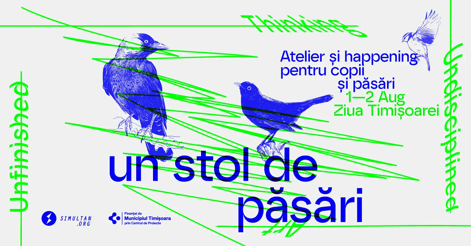 De Ziua Timișoarei, copiii sunt invitați să formeze „Un stol de păsări” în oraș