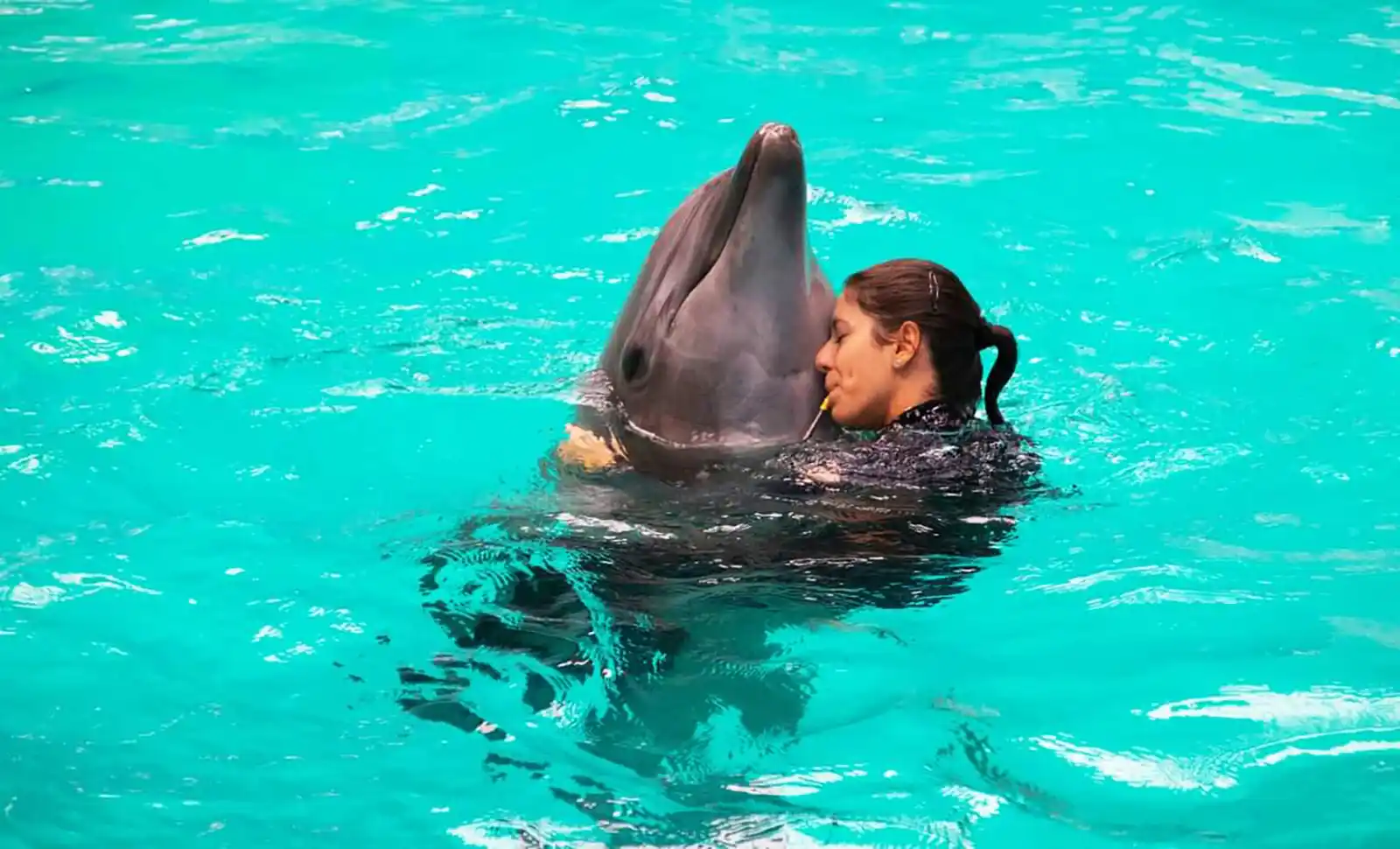 Monica Bogdan, antrenor de mamifere marine la Delfinariul din Constanța