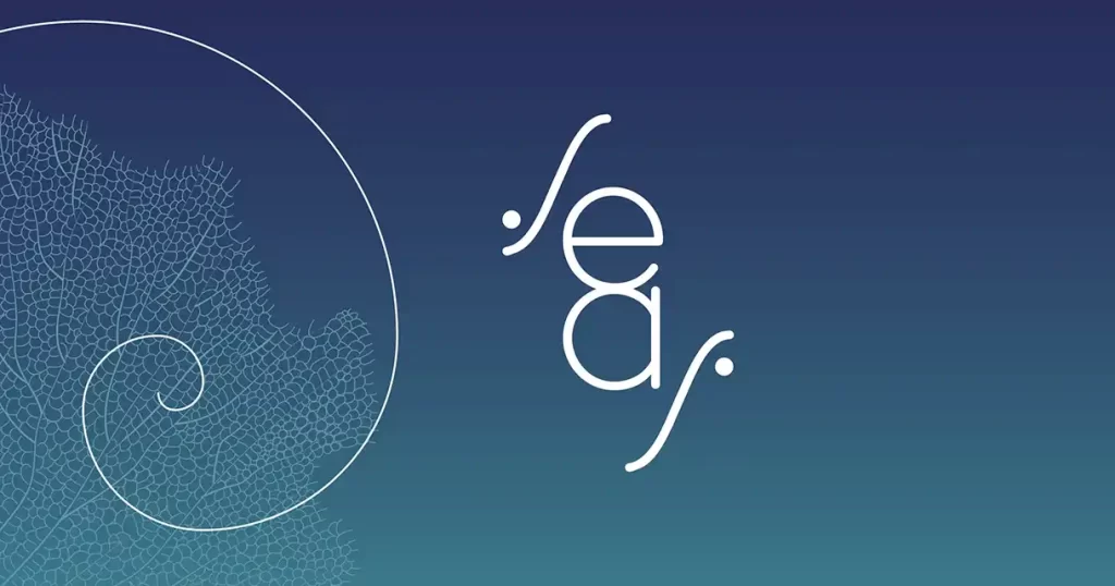 Program SEAS 2026 - Stagiunea Estivală a Artelor Spectacolului, ediția a cincea