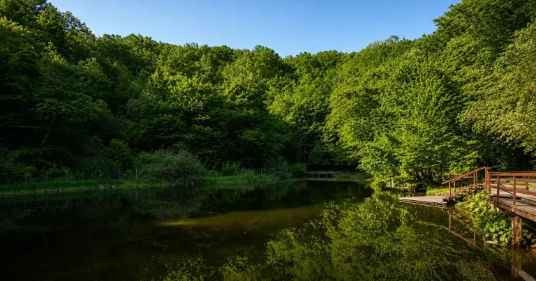 Lacul Ursu - Ritualul de contrast pe care natura l-a lansat cu mult înaintea trendurilor
