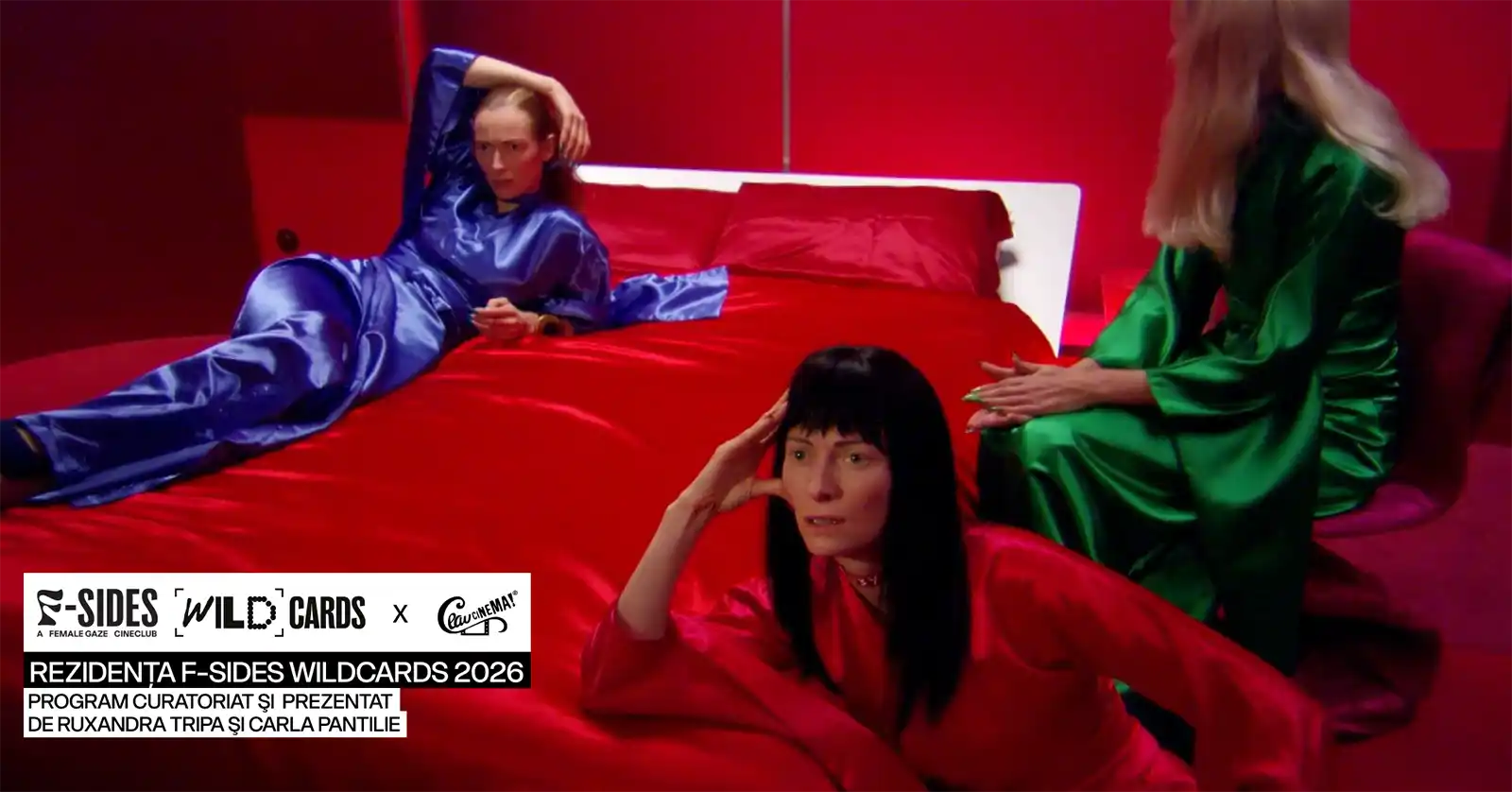 Primul program curatorial F-SIDES Wildcards se vede la Ceau, Cinema!