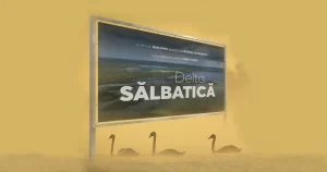 Documentarul „Delta Sălbatică”, proiectat în avanpremieră în Delta Dunării