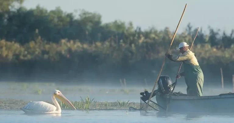 Echipa documentarului „Delta Sălbatică” susține proiectele de reconstrucție ecologică și renaturare derulate de organizațiile de mediu